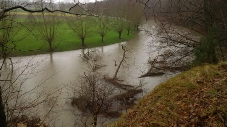 Hochwasser Legt Baum In Der Lippe Auf Die Seite › EG/LV-Blog